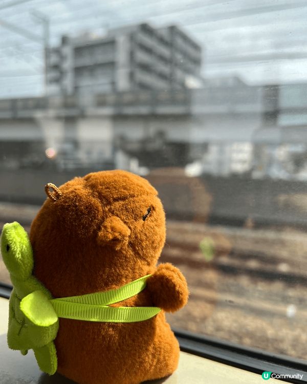 這是大阪之旅的相片，都充滿美好回憶的，無論旅程任何地點都可以...