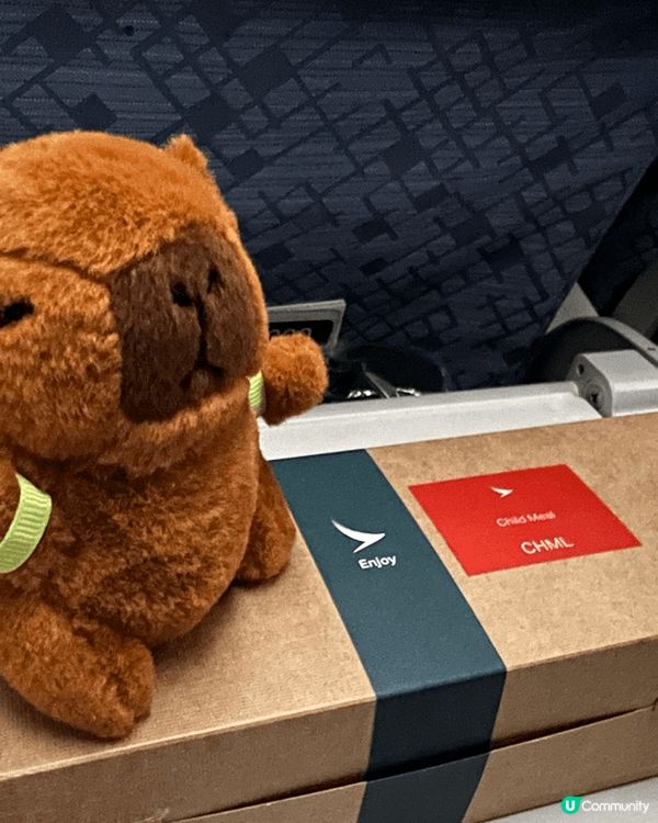 這是大阪之旅的相片，都充滿美好回憶的，無論旅程任何地點都可以...