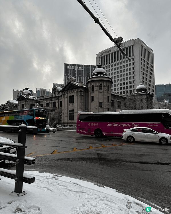 今次嘅打卡熱點推介係落雪嘅韓國，二月份佢好好彩見到落雪，好靚...