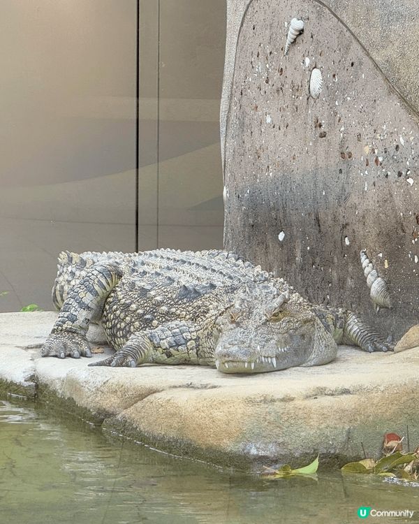 又係辣媽好介紹🤗