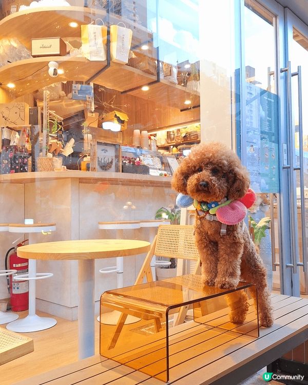 南昌站B出口步行10分鐘，寵物共享公園，薰衣草的花語是等待愛...