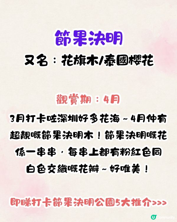 深圳賞花節果決明5大推介📸隱世公園如櫻花花海超靚😍附交通教學🚗