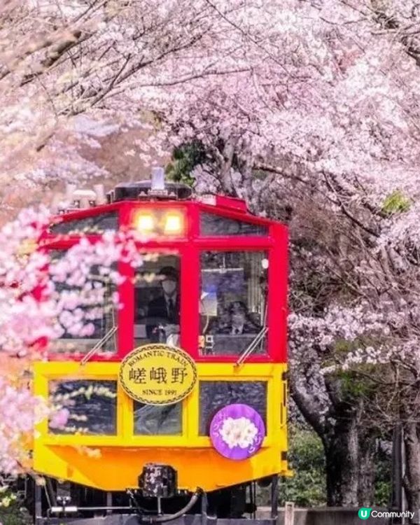 春日CHILL有FEEL：指定賞花日遊「2人同行1人免費」