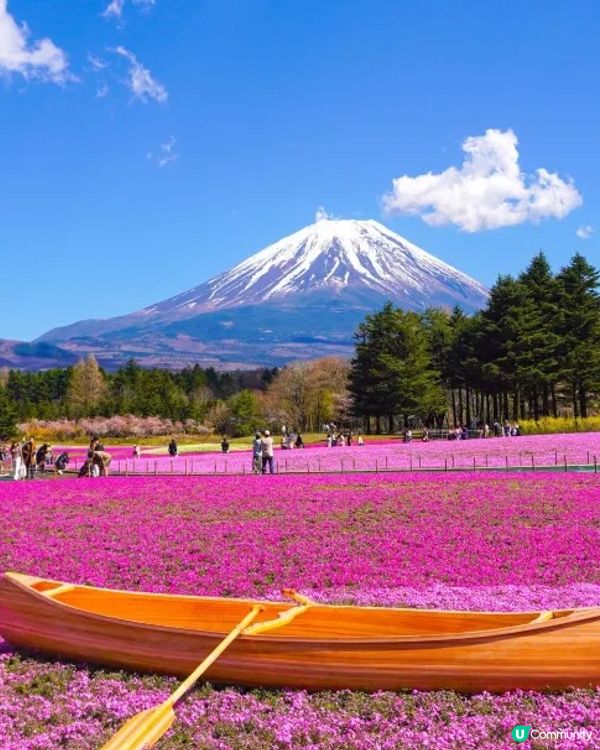 春日CHILL有FEEL：指定賞花日遊「2人同行1人免費」