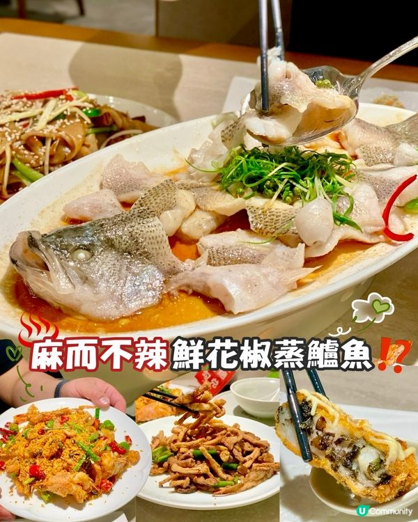 ✨深圳🇨🇳-⚠️💬招牌鮮花椒蒸鱸魚⁉️💢竟墨魚紫菜酥最好食‼️📍