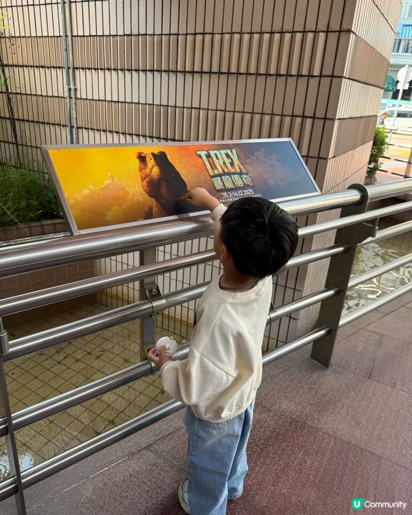 🦖恐龍迷揮手區🦕