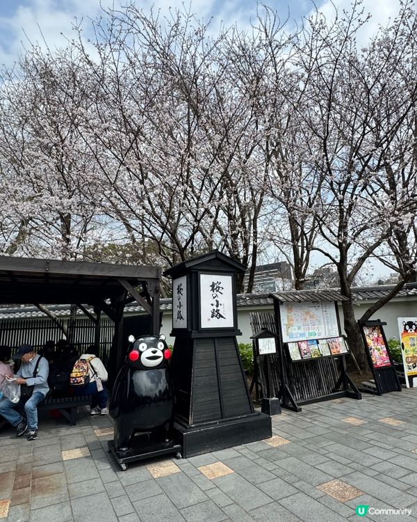 櫻の馬場城彩苑