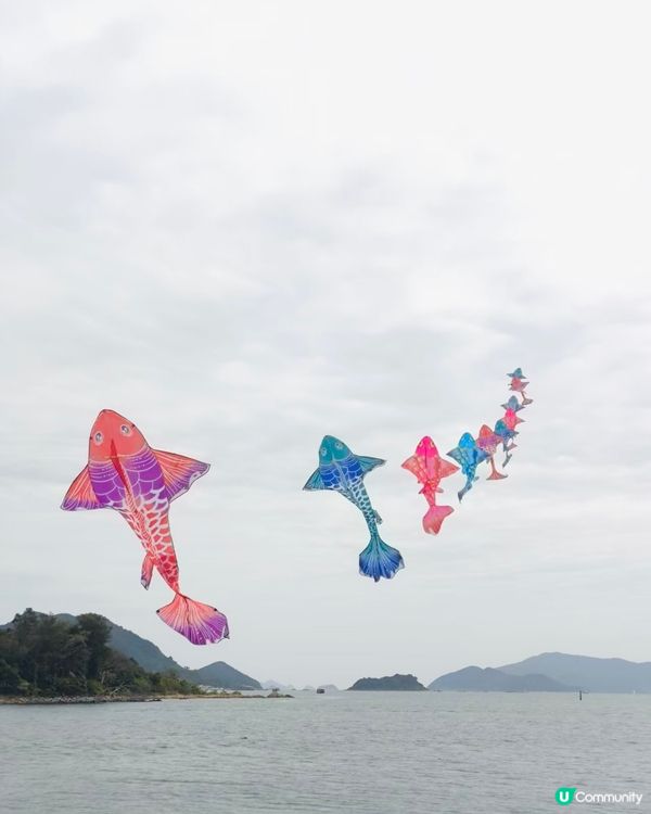 西貢隱世小島-放鬆之旅 🌊☀️