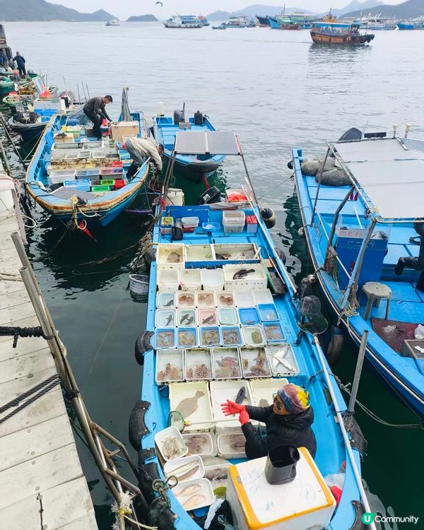 西貢隱世小島-放鬆之旅 🌊☀️