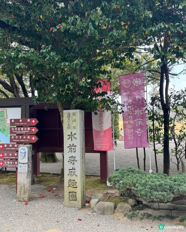 門前寺成趣園賞櫻🌸