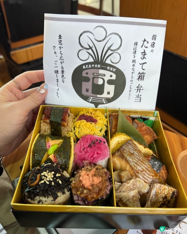 指宿玉手箱號🚈