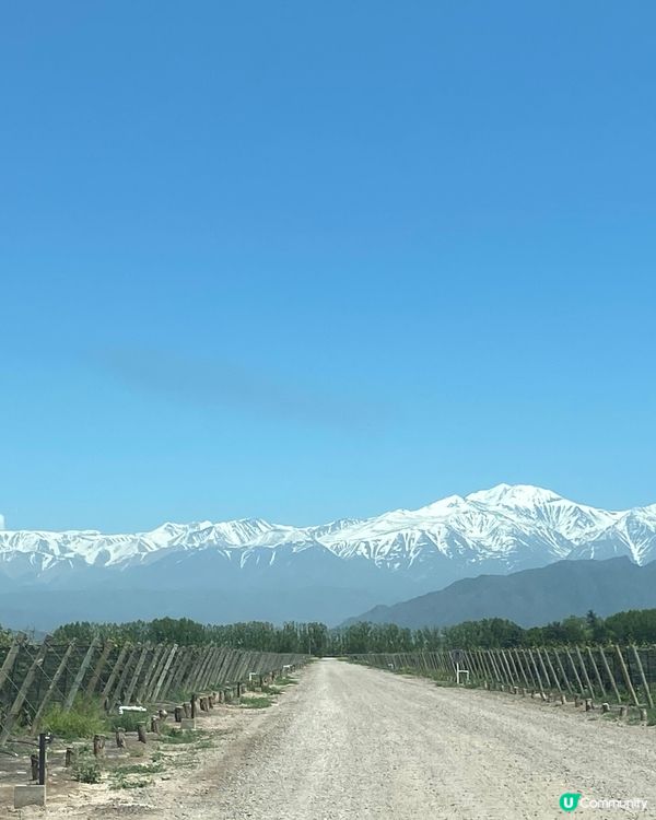 ［南美洲旅遊］阿根廷🇦🇷門多薩