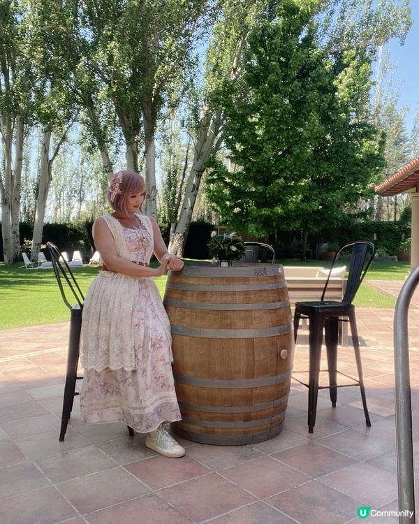 ［南美洲旅遊］阿根廷🇦🇷門多薩