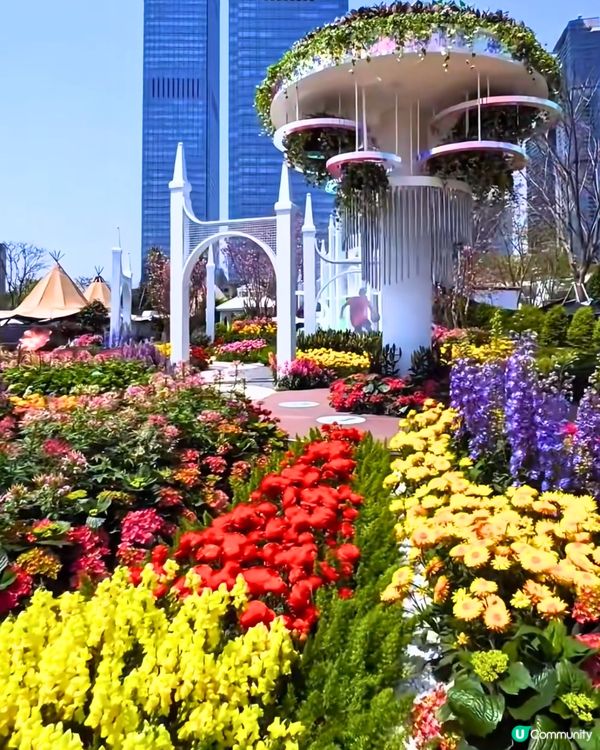 深圳花展2025免費入場！今年主題花卉＋2大會場率先睇🤩