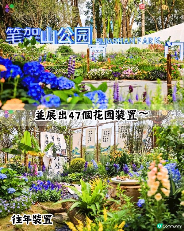 深圳花展2025免費入場！今年主題花卉＋2大會場率先睇🤩