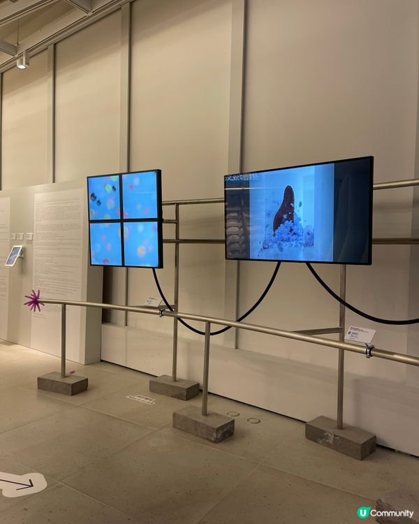 全港首個ASMR沉浸式體驗