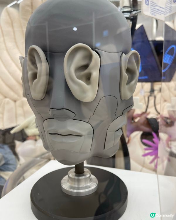 全港首個ASMR沉浸式體驗