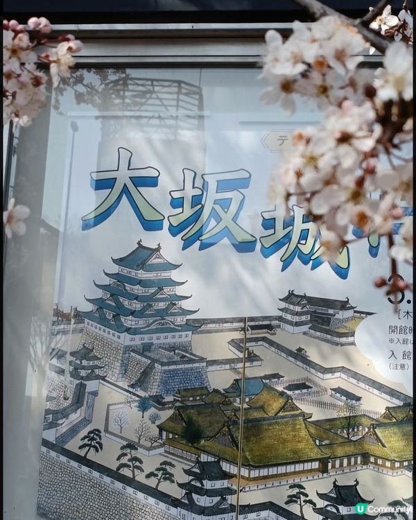 大阪城欣賞櫻花