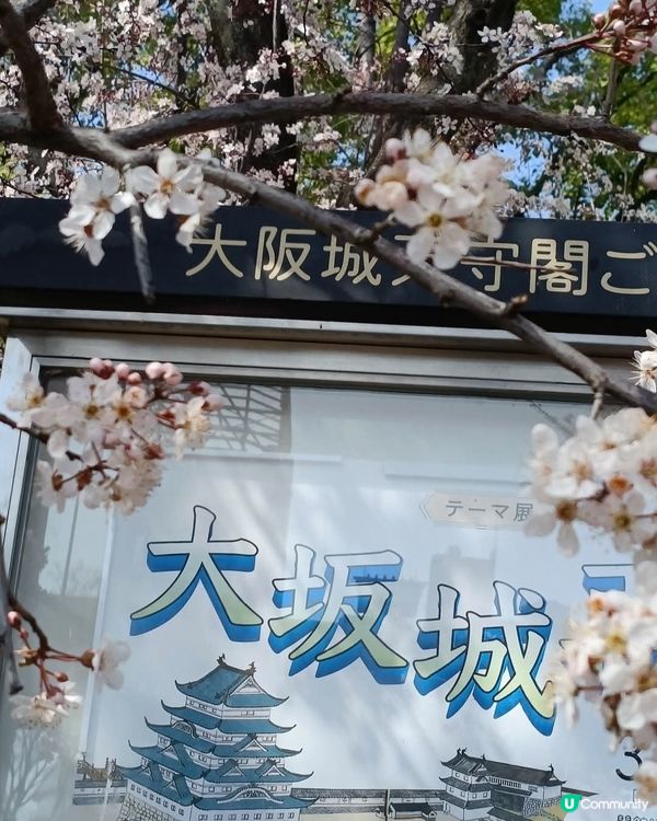 大阪城欣賞櫻花