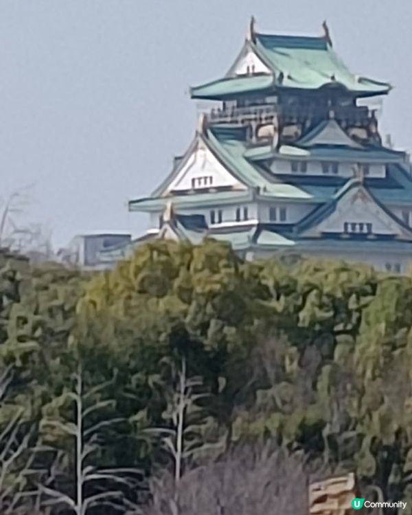 大阪城欣賞櫻花