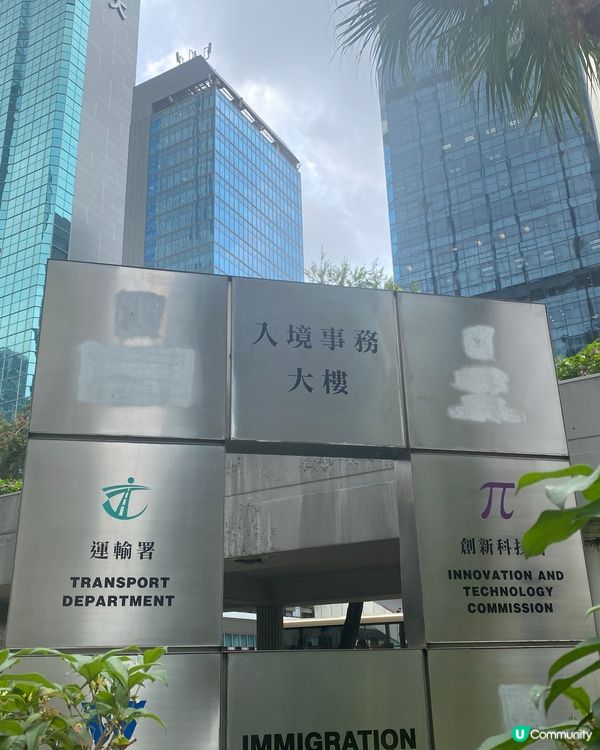 灣仔木棉花🌸  紅遍這個城市 🏙️