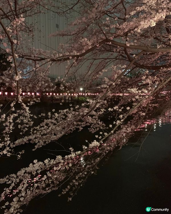 目黑川