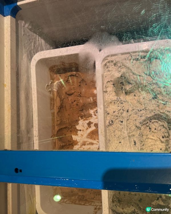 $99 酒店半自助餐有蝦有三文魚有青口😻