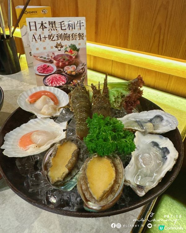 食牛大人放題，和牛鮑魚任食！🤤🔥