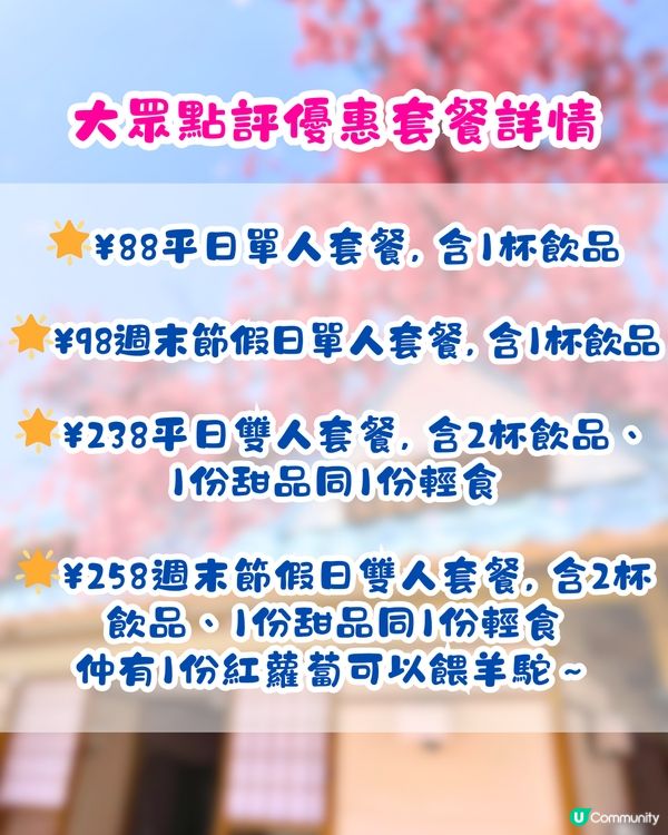 深圳Blue Concept關於藍Cafe最新4大櫻花主題打卡位‼️ 浪漫櫻花飄落/和服租借/與草泥馬互動