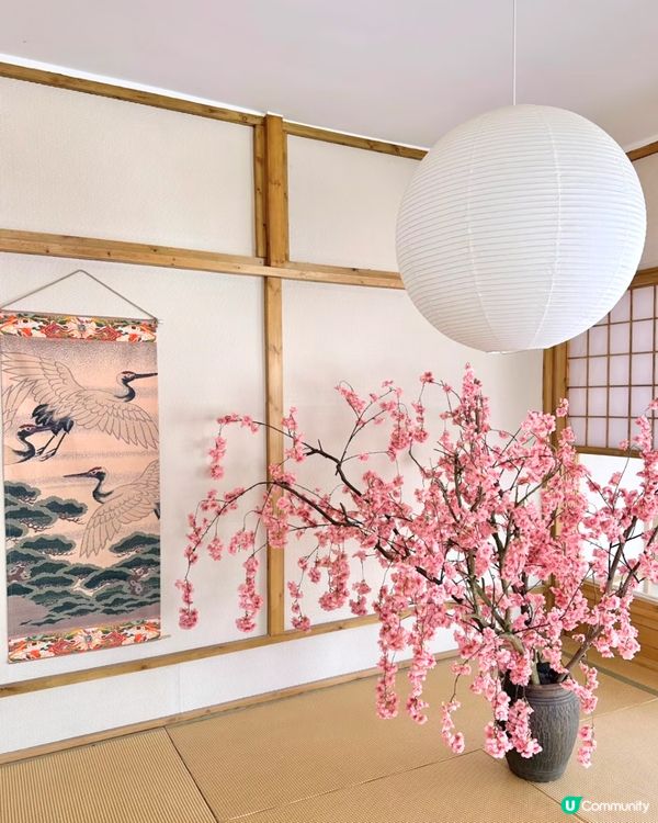 深圳Blue Concept關於藍Cafe最新4大櫻花主題打卡位‼️ 浪漫櫻花飄落/和服租借/與草泥馬互動