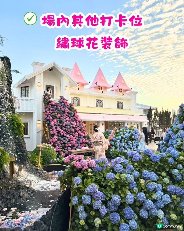 深圳Blue Concept關於藍Cafe最新4大櫻花主題打卡位‼️ 浪漫櫻花飄落/和服租借/與草泥馬互動