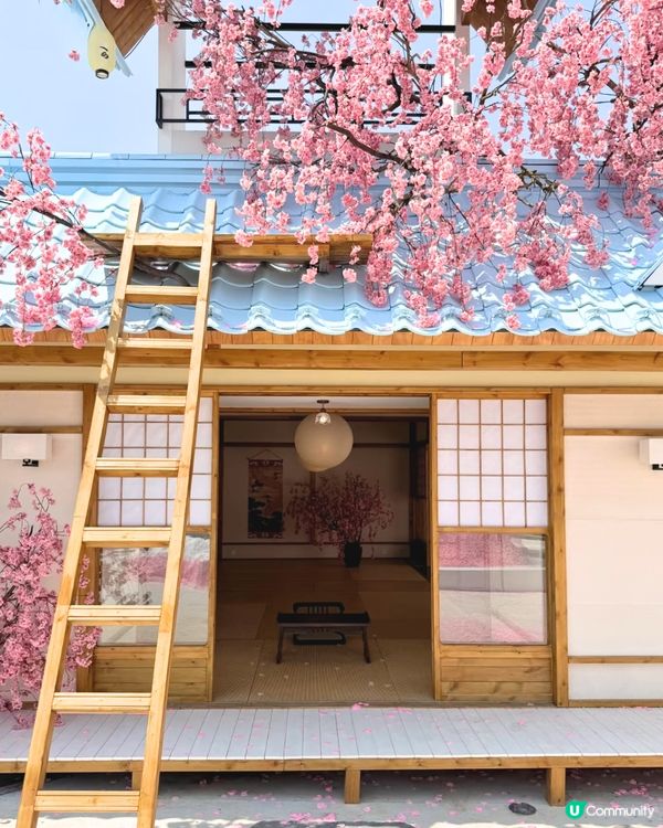 深圳Blue Concept關於藍Cafe最新4大櫻花主題打卡位‼️ 浪漫櫻花飄落/和服租借/與草泥馬互動