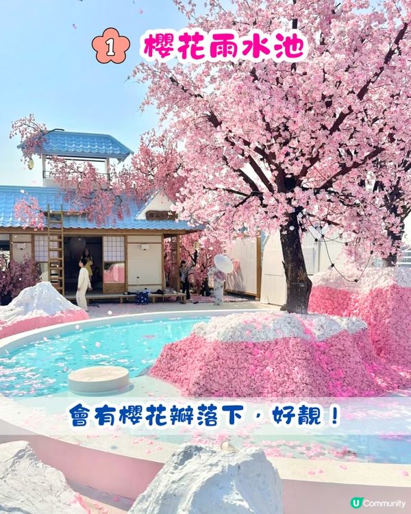 深圳Blue Concept關於藍Cafe最新4大櫻花主題打卡位‼️ 浪漫櫻花飄落/和服租借/與草泥馬互動