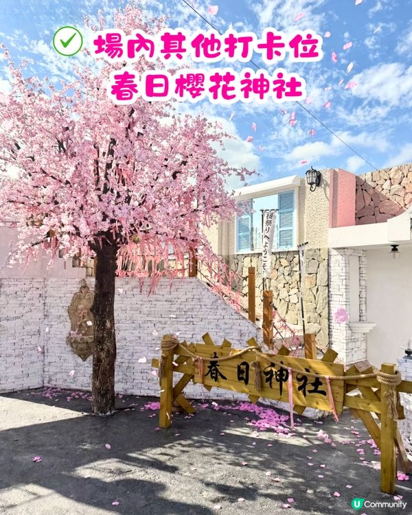 深圳Blue Concept關於藍Cafe最新4大櫻花主題打卡位‼️ 浪漫櫻花飄落/和服租借/與草泥馬互動