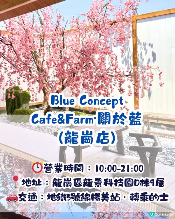 深圳Blue Concept關於藍Cafe最新4大櫻花主題打卡位‼️ 浪漫櫻花飄落/和服租借/與草泥馬互動