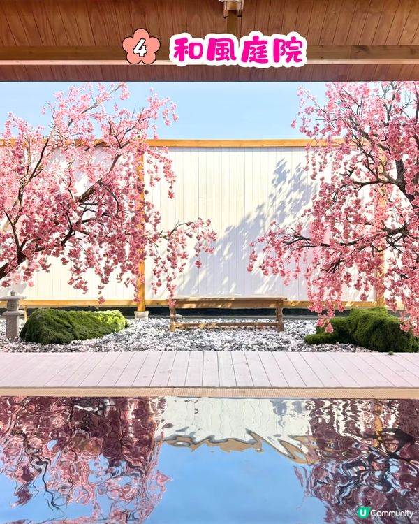 深圳Blue Concept關於藍Cafe最新4大櫻花主題打卡位‼️ 浪漫櫻花飄落/和服租借/與草泥馬互動