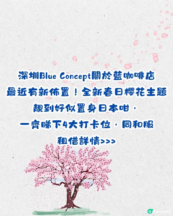 深圳Blue Concept關於藍Cafe最新4大櫻花主題打卡位‼️ 浪漫櫻花飄落/和服租借/與草泥馬互動