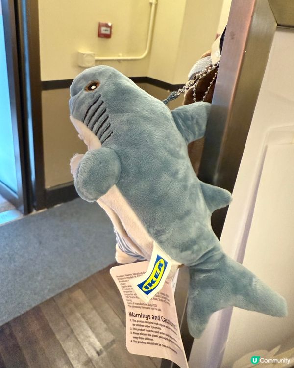 去大館見到IKEA展覽 仲夾埋隻公仔🧸番嚟添💖但夾唔到海豚🐬