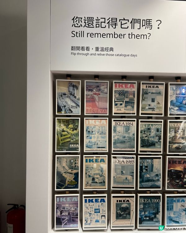 去大館見到IKEA展覽 仲夾埋隻公仔🧸番嚟添💖但夾唔到海豚🐬