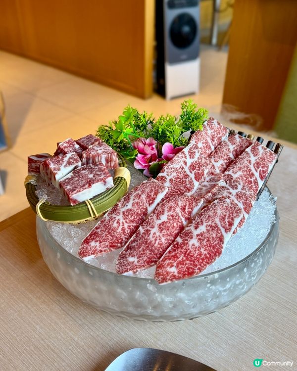 肉多多的我,去肉多多吃,吃了多多肉😼😻