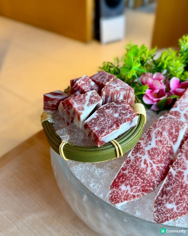 肉多多的我,去肉多多吃,吃了多多肉😼😻