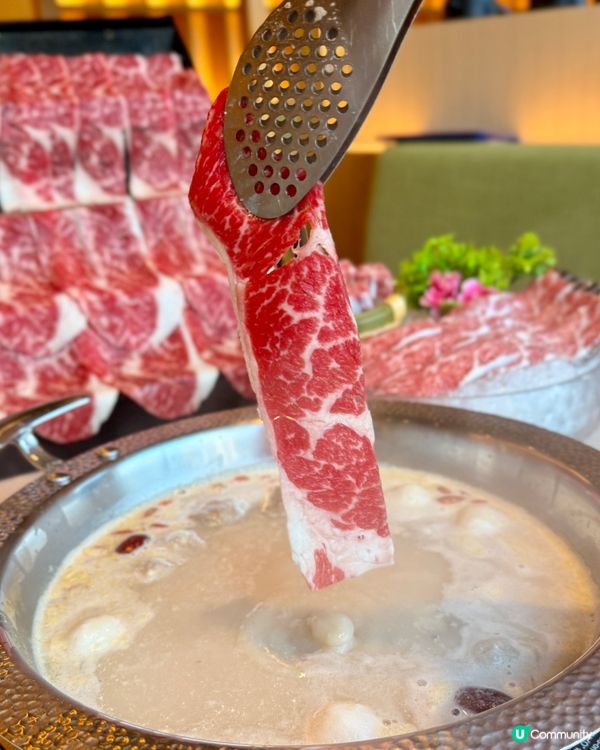 肉多多的我,去肉多多吃,吃了多多肉😼😻