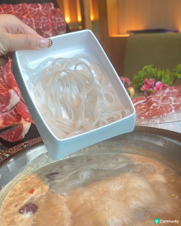 肉多多的我,去肉多多吃,吃了多多肉😼😻