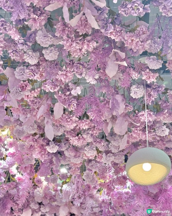 ## 💜芋泥控必試！新式芋泥甜品🤤