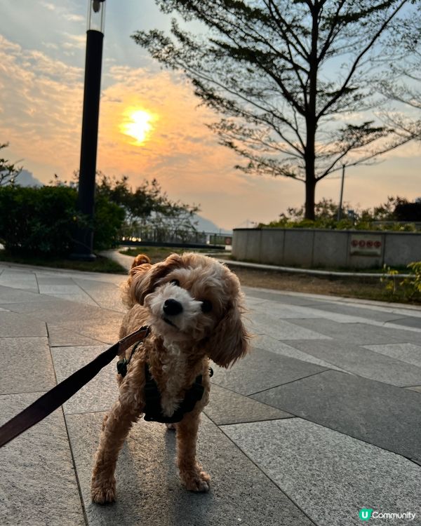 【浪漫溫情】日落觀賞