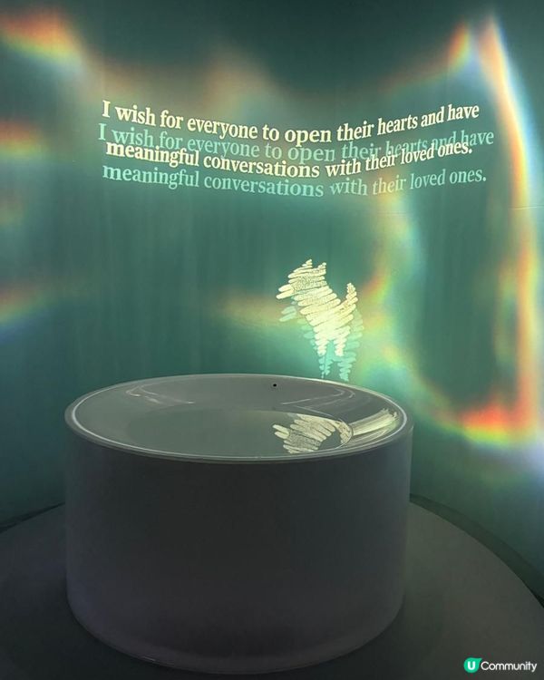 Art Basel有咩睇？❤️‍🔥最治療人心共鳴的許願池💭