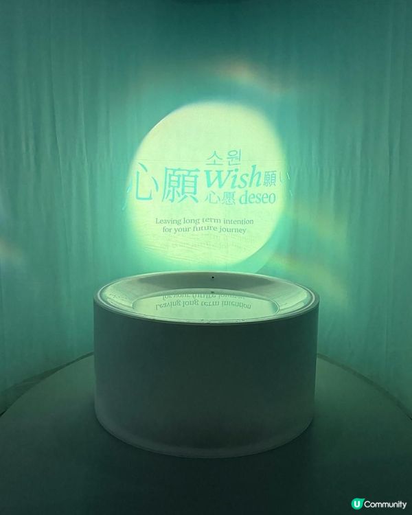 Art Basel有咩睇？❤️‍🔥最治療人心共鳴的許願池💭