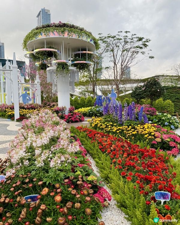 ♡深圳打卡好去處｜深業上城｜2025粵港澳大灣區花園大賽♡