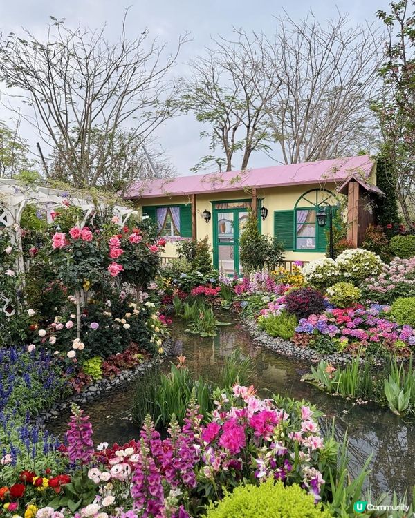 ♡深圳打卡好去處｜深業上城｜2025粵港澳大灣區花園大賽♡