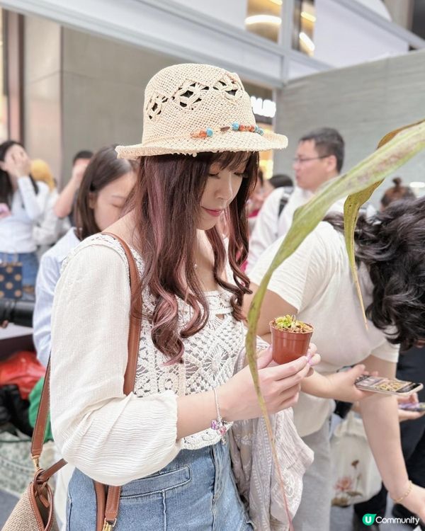 ♡深圳打卡好去處｜深業上城｜2025粵港澳大灣區花園大賽♡